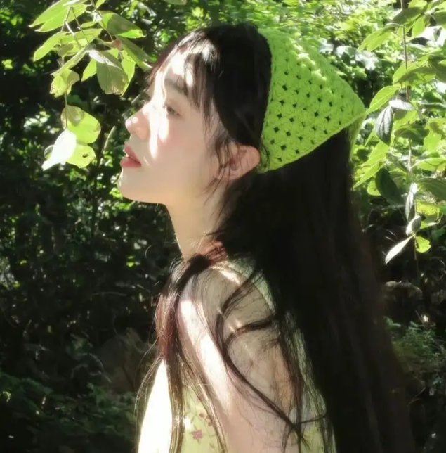 斑马人