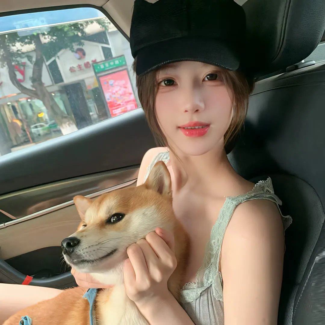 小猫熊历险记