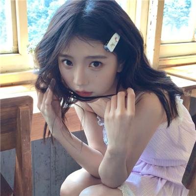 燕子盗
